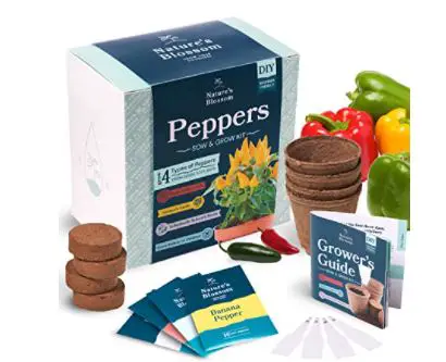 types of pepper plants: Indoor Peppers Seed Starter Kit