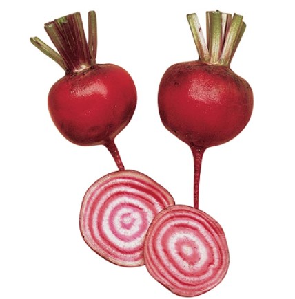 Beet Varieties: Burpee Chioggia Beet Seeds 200 seeds 