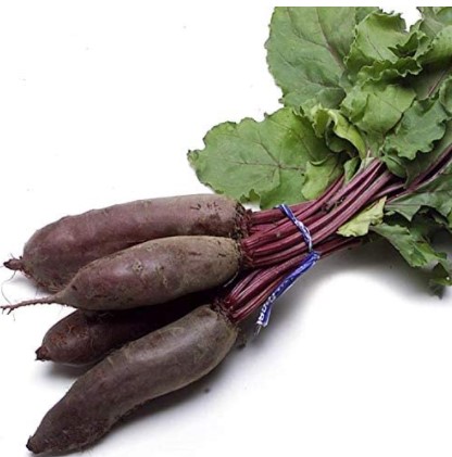 Beet Varieties: Beet Varieties: Cylindra Beet Seeds