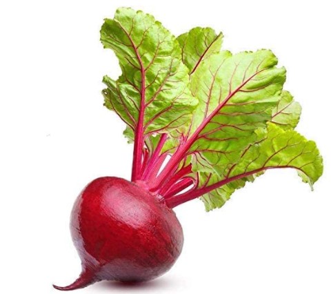 Beet Varieties: Ruby Queen Beet Seeds