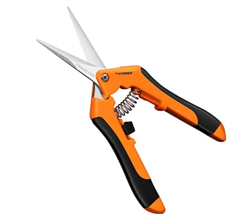 How To Harvest Oats: VIVOSUN 6.5 Inch Gardening Hand Pruner