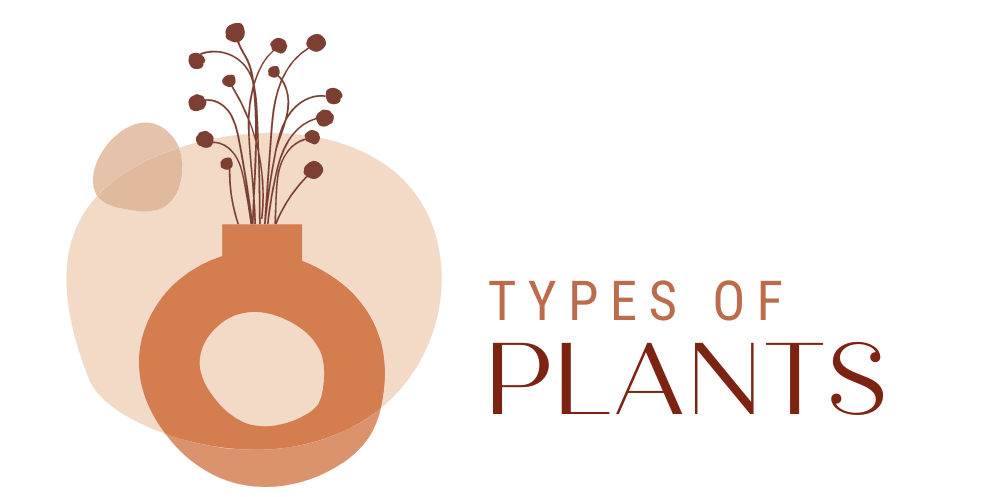 typesofplants